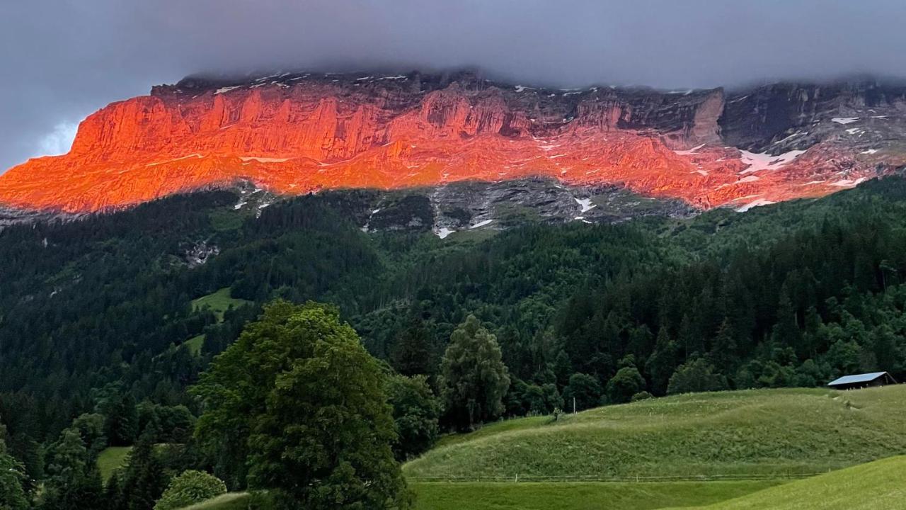 Ferienwohnung Im Gruenen Grindelwald Zewnętrze zdjęcie