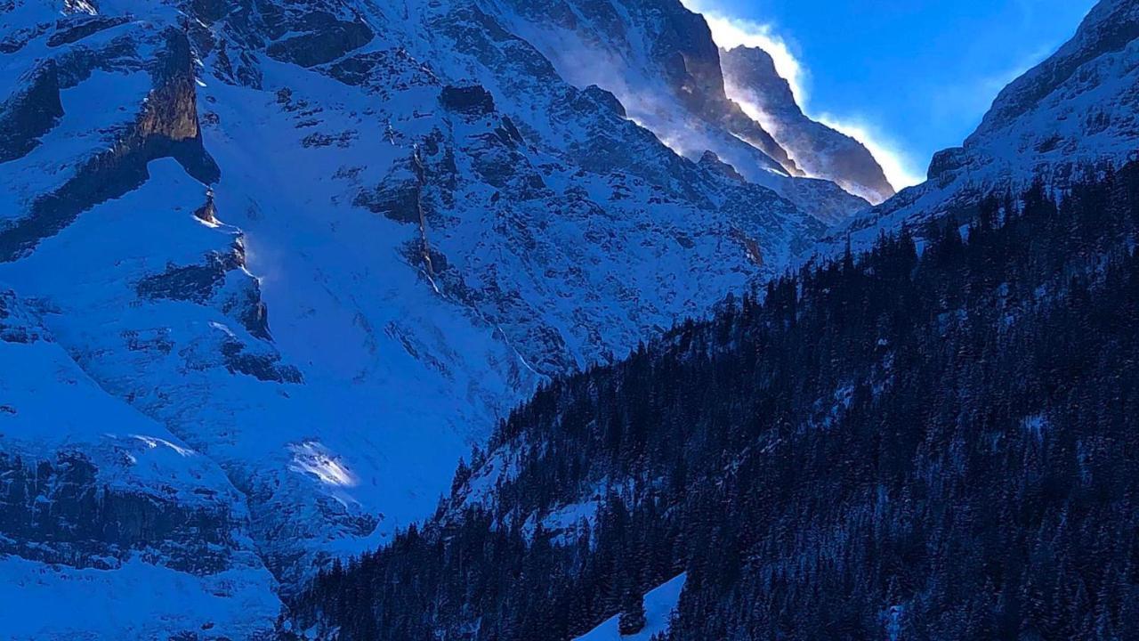 Ferienwohnung Im Gruenen Grindelwald Zewnętrze zdjęcie