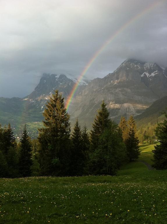 Ferienwohnung Im Gruenen Grindelwald Zewnętrze zdjęcie