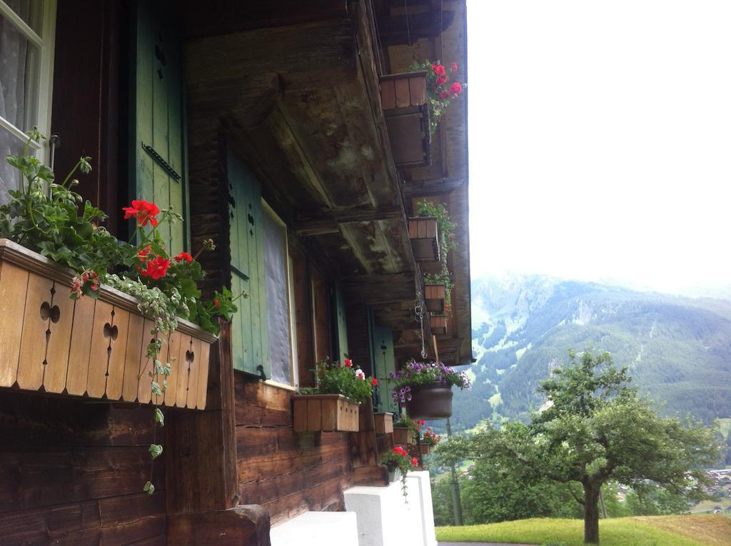 Ferienwohnung Im Gruenen Grindelwald Zewnętrze zdjęcie