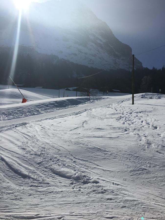 Ferienwohnung Im Gruenen Grindelwald Zewnętrze zdjęcie