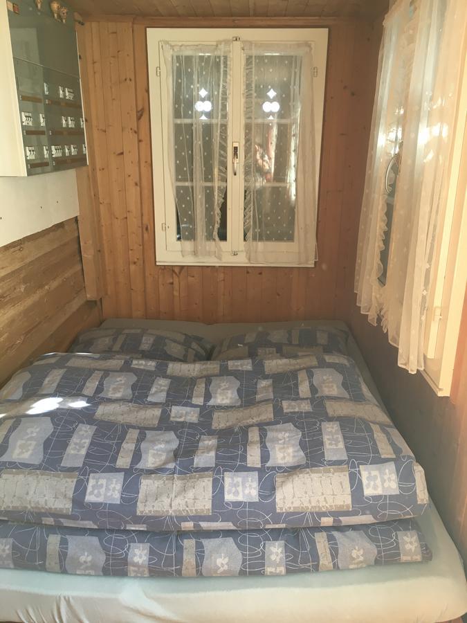 Ferienwohnung Im Gruenen Grindelwald Zewnętrze zdjęcie