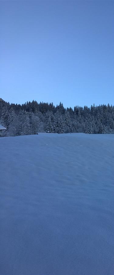 Ferienwohnung Im Gruenen Grindelwald Zewnętrze zdjęcie