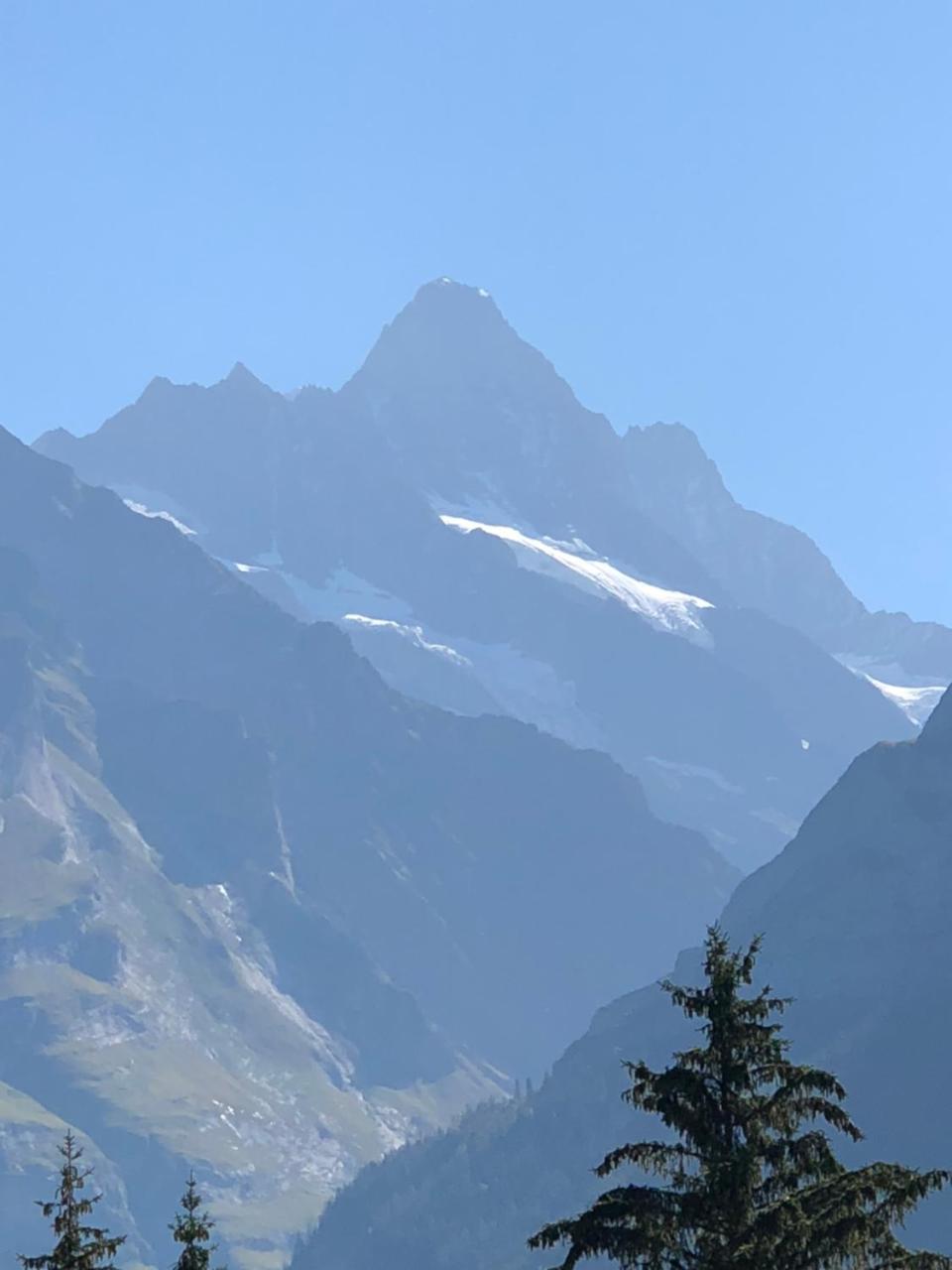 Ferienwohnung Im Gruenen Grindelwald Zewnętrze zdjęcie