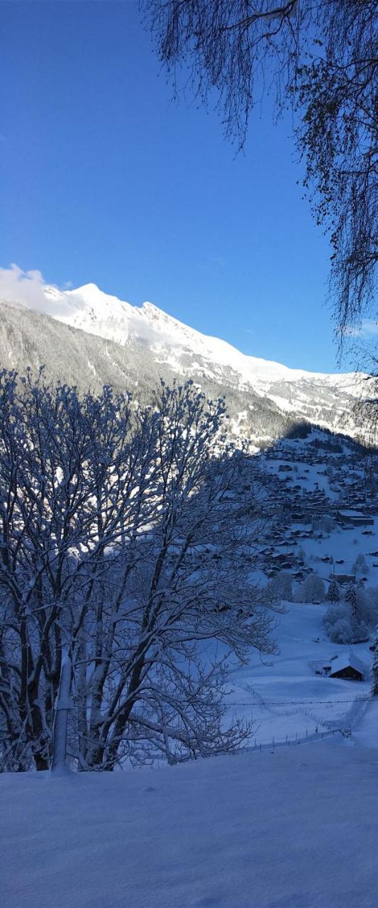 Ferienwohnung Im Gruenen Grindelwald Zewnętrze zdjęcie