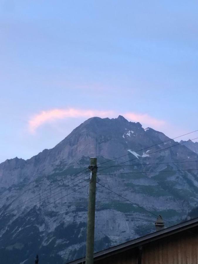 Ferienwohnung Im Gruenen Grindelwald Zewnętrze zdjęcie