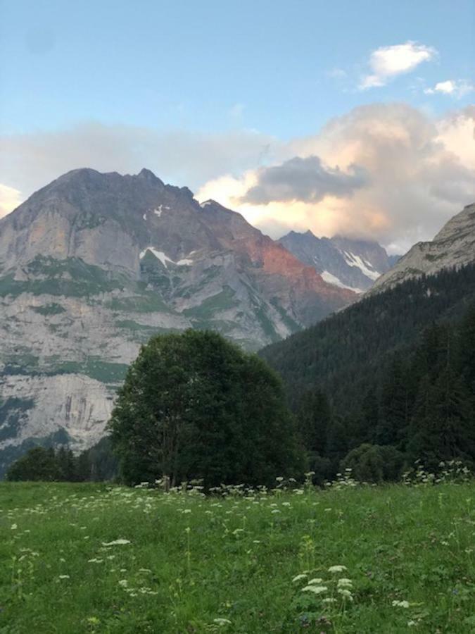 Ferienwohnung Im Gruenen Grindelwald Zewnętrze zdjęcie